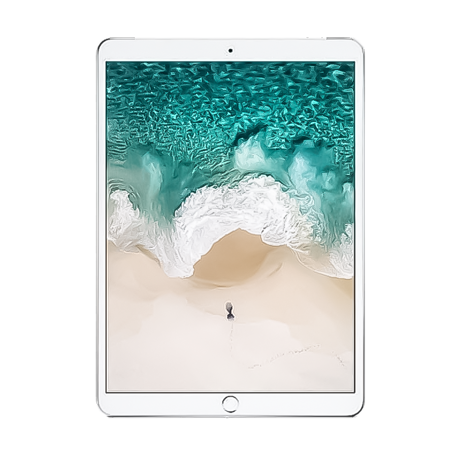 iPad Pro 2 12,9"